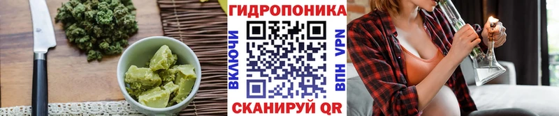 Cannafood конопля  Сургут 