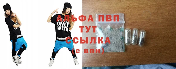 молекула духа Кулебаки