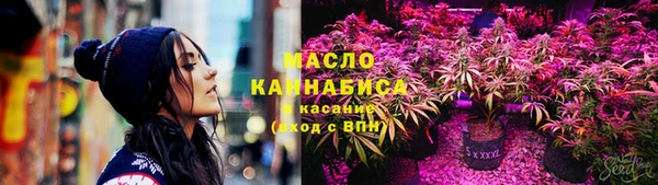 молекула духа Кулебаки