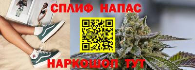 шишки Аргун