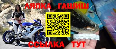 шишки Аргун