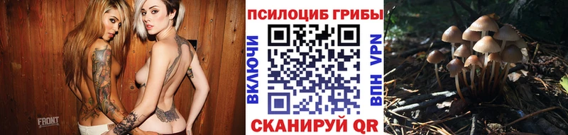 Псилоцибиновые грибы прущие грибы Сургут