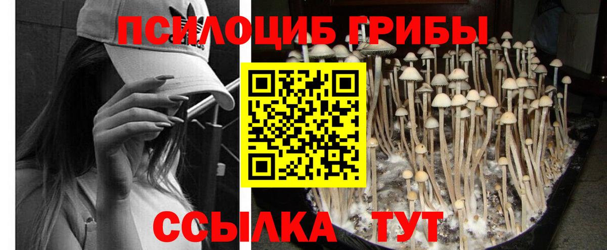 Псилоцибиновые грибы мухоморы  Сургут 