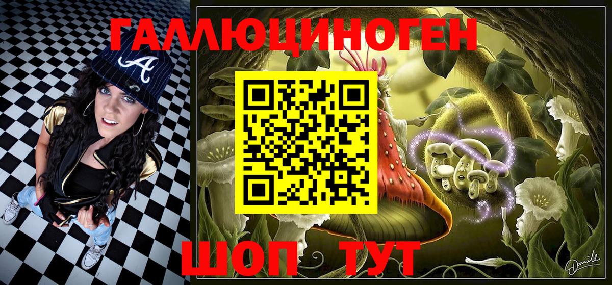 Псилоцибиновые грибы Psilocybine cubensis Сургут